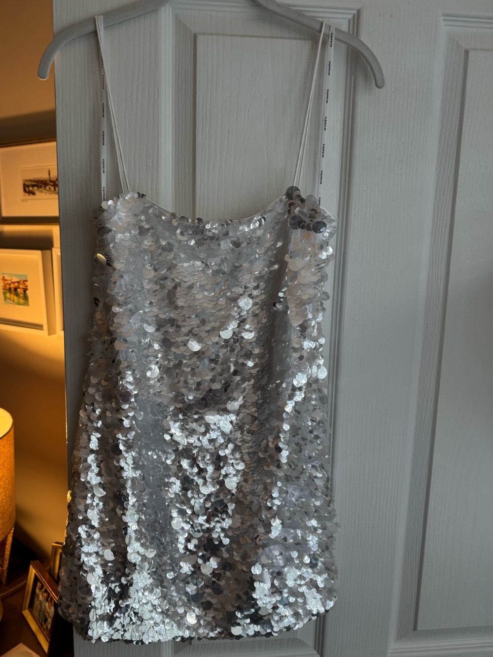 Retrofete Eleanora Dress in Silver